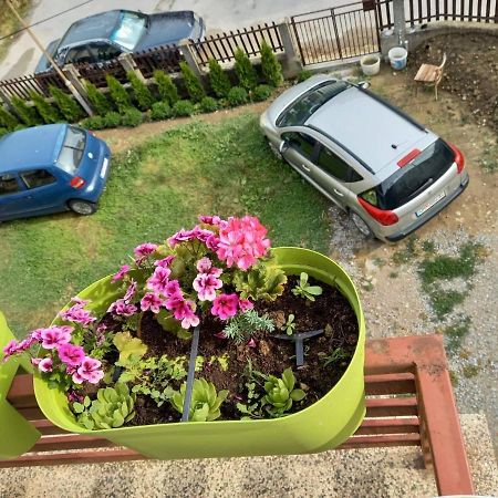 Apartmants Djekovi Охрид Екстер'єр фото